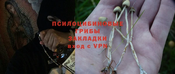 PSILOCYBIN Магадан