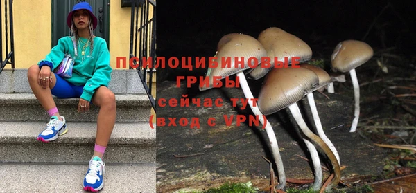 PSILOCYBIN Магадан