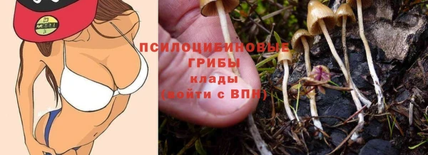 PSILOCYBIN Магадан