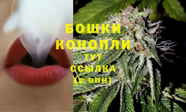 амф Майский